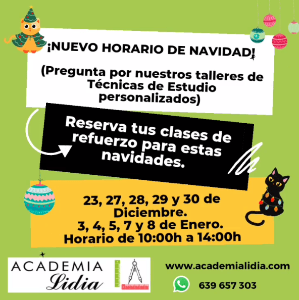 Horario Navidad Academia Salamanca