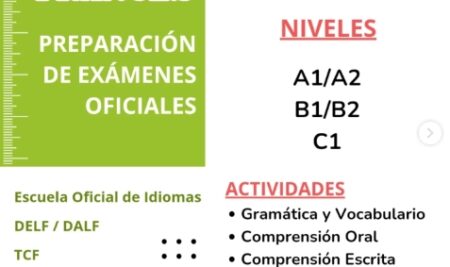 Clases francés: preparación exámenes oficiales